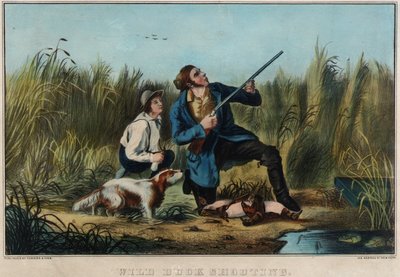 Tiro aos patos selvagens de Nathaniel Currier