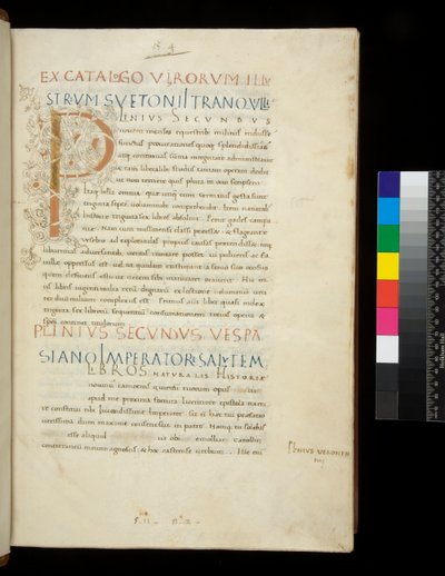 Sra. 394.1. Pliny the Elder, Historia naturalis, f.1r. Inicial iluminada [P] com decoração de vinha branca (inacabada), Nápoles, meados do século XV, c.1442 (pergaminho) de Neapolitan School