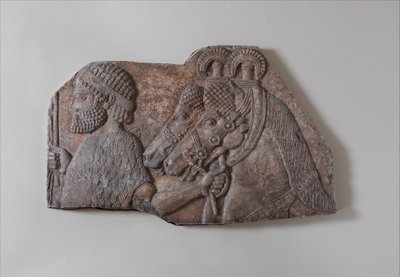 Noivo estrangeiro em procissão tributária, c.721-05 aC (gipsita alabastro) de Neo Assyrian Neo Assyrian
