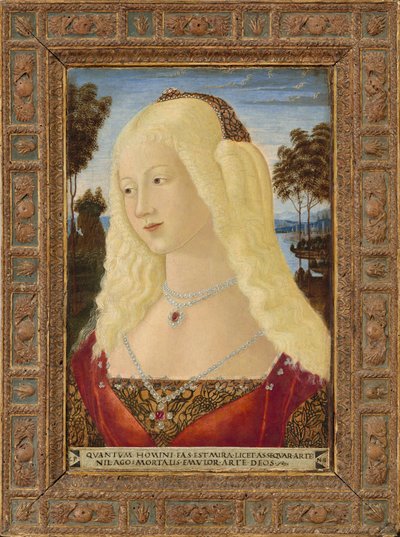 Retrato de uma senhora de Neroccio de
