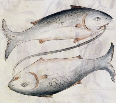 Sloane 3983 Desenho de Peixes, de uma tradução de um tratado astrológico persa por Jafar ibn Muhammad (velino) de Netherlandish School