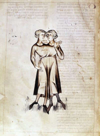 Sloane 3983 f.8v Desenho de Gêmeos, de uma tradução de um tratado astrológico persa de Jafar ibn Muhammad (vellum) de Netherlandish School