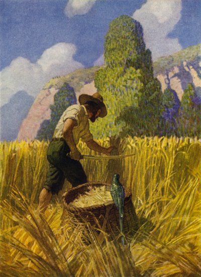 Ilustração para Robinson Crusoe (cor litho) de Newell Convers (after) Wyeth