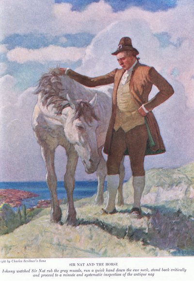 Sir Nat e o cavalo: Johnny observou Sir Nat esfregar o focinho cinzento; recuar e proceder a uma inspeção minuciosa e sistemática, 1928 de Newell Convers Wyeth