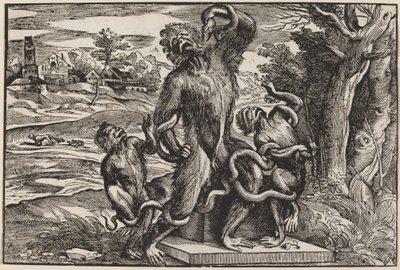 Caricatura do Grupo Laocoonte de Niccolò Boldrini after Titian