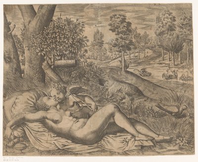 Vénus e Amor de Niccolò Nelli