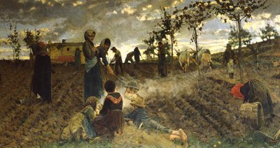 Semeando na Toscana de Niccolo Cannicci