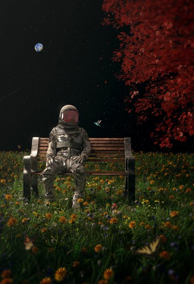 Jardim Espacial do Astronauta de Nicebleed