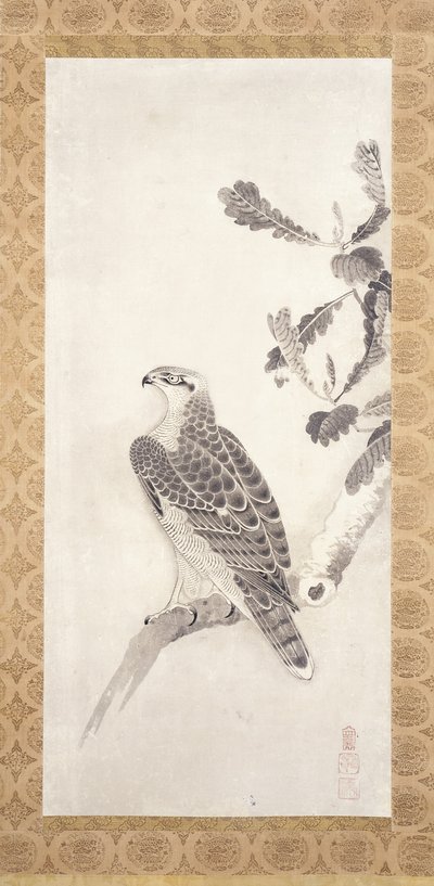 Hawk empoleirado num ramo (tinta sobre papel) de Nichokuan Soga