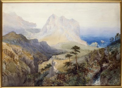 Um desfiladeiro perto do mar, Alpes do Sul, Nova Zelândia de Nicholas Chevalier