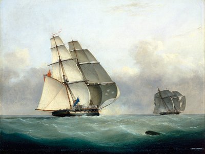 A captura do navio negreiro "Gabriel" pelo HMS "Acorn", 6 de julho de 1841 de Nicholas Matthews Condy