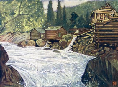 Noruega: rio em Haukeli de Nico Jungman