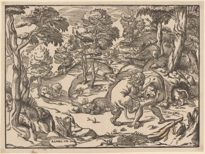 Hércules e o Leão da Nemeia de Nicolò Boldrini, after Raphael