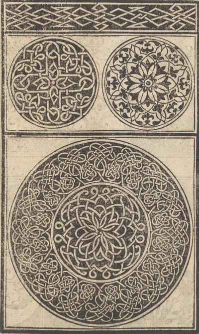 Espécime de obras, página 5 reto, agosto de 1529., agosto de 1529. de Nicolò Zoppino