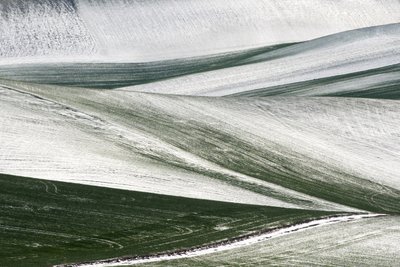  de Nicola Figliuolo