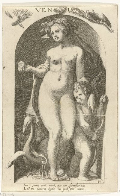Vênus Venis (título no objeto) Deuses Antigos (título da série) de Nicolaas Braeu