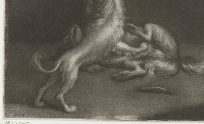 Dois cães brincando de Nicolaas Verkolje