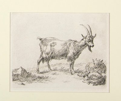 6 gravuras de de Nicolaes Berchem