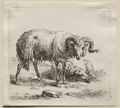 Animalia: Carneiro e Ovelha de Nicolaes Berchem
