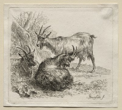 Animalia: Três cabras de Nicolaes Berchem