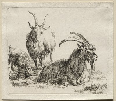 Animalia: Três cabras de Nicolaes Berchem