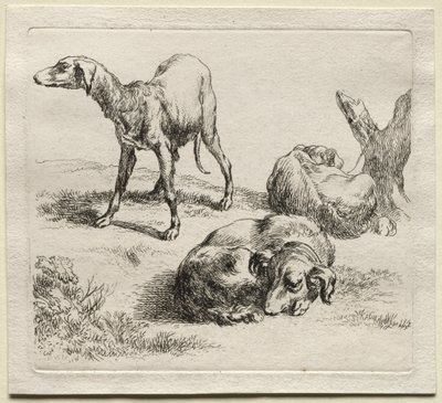 Animalia: Três cães de caça de Nicolaes Berchem