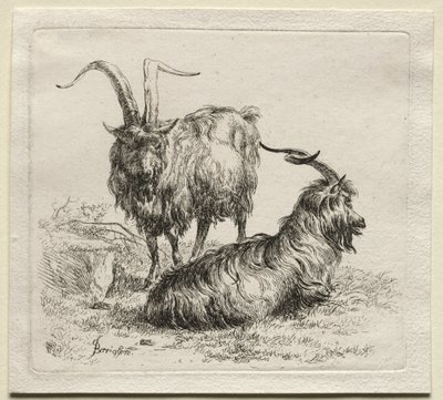 Animalia: Duas cabras de Nicolaes Berchem