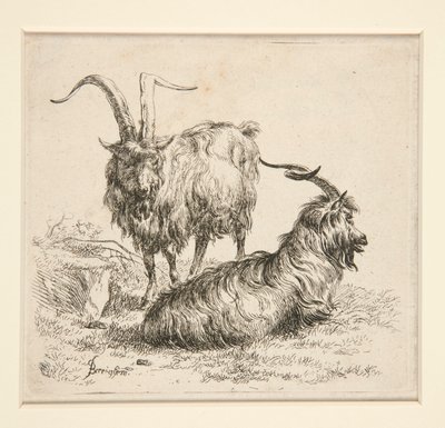 Cabras (de de Nicolaes Berchem