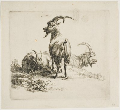 Cabras, de vários animais de Nicolaes Berchem