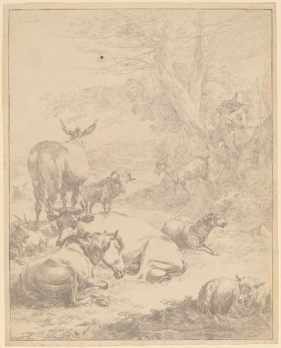 Rebanho de descanso. de Nicolaes Berchem