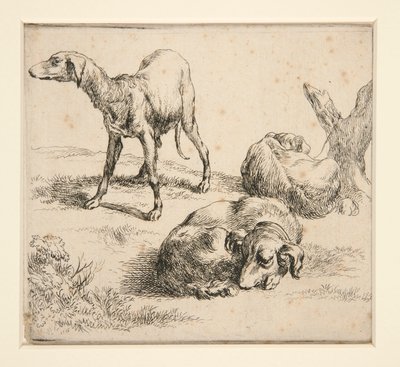 Três Cães de Caça (de de Nicolaes Berchem