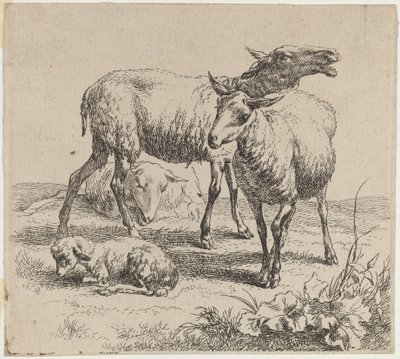 Três Ovelhas e um Cordeiro. de Nicolaes Berchem