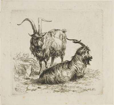 Duas cabras com chifres grandes, de vários animais de Nicolaes Berchem
