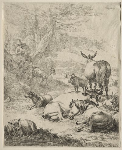 Animais em repouso. de Nicolaes Pietersz. Berchem