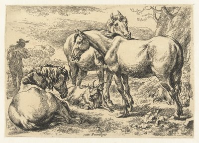Três cavalos
Animais (título da série) de Nicolaes Pietersz Berchem