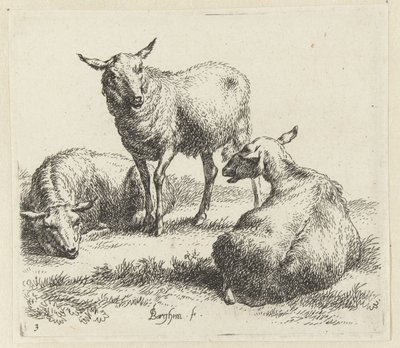 Seque as ovelhas Schapen (título da série) Animais desenhados à vida e impressos na água pelo ar forte pelo Studio and Art of Nicolai Berchem (título da série) de Nicolaes Pietersz Berchem