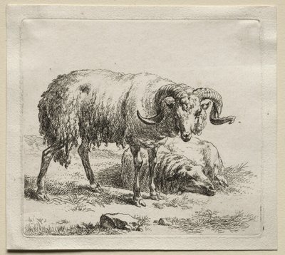 Carneiro e ovelha. de Nicolaes Pietersz. Berchem