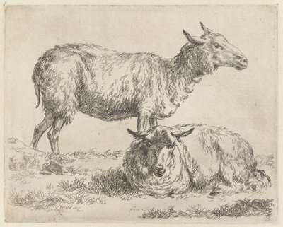 Staand en liggend schaap Schapen (título da série) Animais desenhados à vida e impressos na água pelo ar forte pelo Studio and Art of Nicolai Berchem (título da série) de Nicolaes Pietersz Berchem