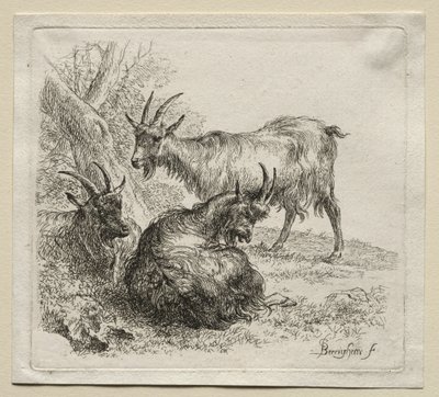 Três cabras. de Nicolaes Pietersz. Berchem