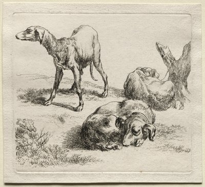 Três cães de caça. de Nicolaes Pietersz. Berchem