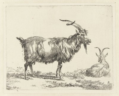 Twee geiten
Geiten (título da série)
Animalia ad vivum delineata et aqua forti aeri impressa Studio et Arte Nicolai Berchemi (título da série) de Nicolaes Pietersz Berchem