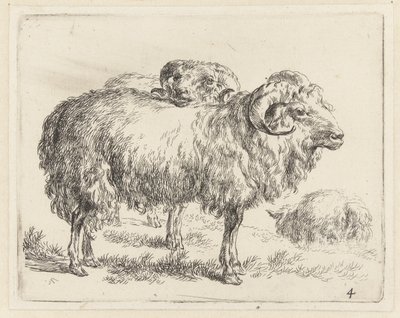 Dois carneiros e uma ovelha
Ovelhas (título da série)
Animalia ad vivum delineata et aqua forti aeri impressa Studio et Arte Nicolai Berchemi (título da série) de Nicolaes Pietersz Berchem