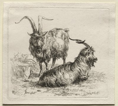 Duas cabras. de Nicolaes Pietersz. Berchem