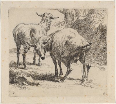 Duas ovelhas, uma mijando de Nicolaes Pietersz Berchem