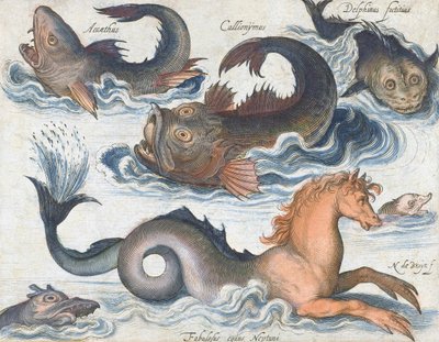 Cavalo-marinho e criaturas aquáticas imaginárias de Nicolaes de (after) Bruyn