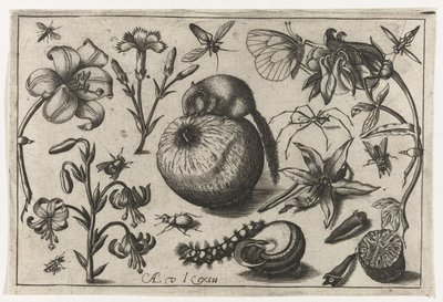 Flores e um rato em uma maçã Pássaros, flores, insetos etc. (título da série) de Nicolaes de Bruyn (possibly)