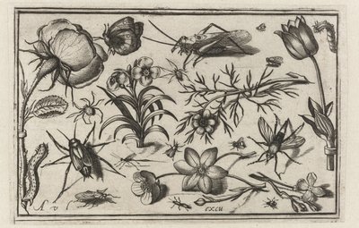 Flores e insectos
Pássaros, flores, insectos, etc. (título da série) de Nicolaes de Bruyn (possibly)