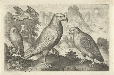 Águia e outras aves de rapina
Aves e insectos (título da série) de Nicolaes de Bruyn
