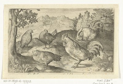 Três galinhas e dois galos Pássaros e insetos (título da série) de Nicolaes de Bruyn