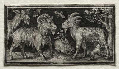 Cabras e lebre, 1594. de Nicolaes de Bruyn